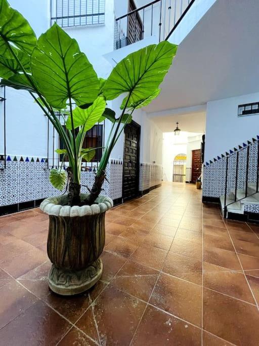 Apartamento Queen Pompeyos Con Parking Bajo Reserva Tendillas Mezquita-catedral Córdoba
