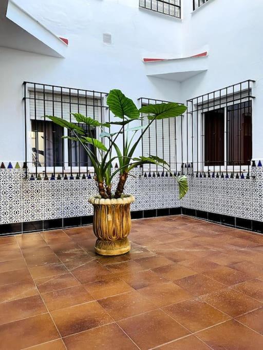 Apartamento Queen Pompeyos Con Parking Bajo Reserva Tendillas Mezquita-catedral Córdoba
